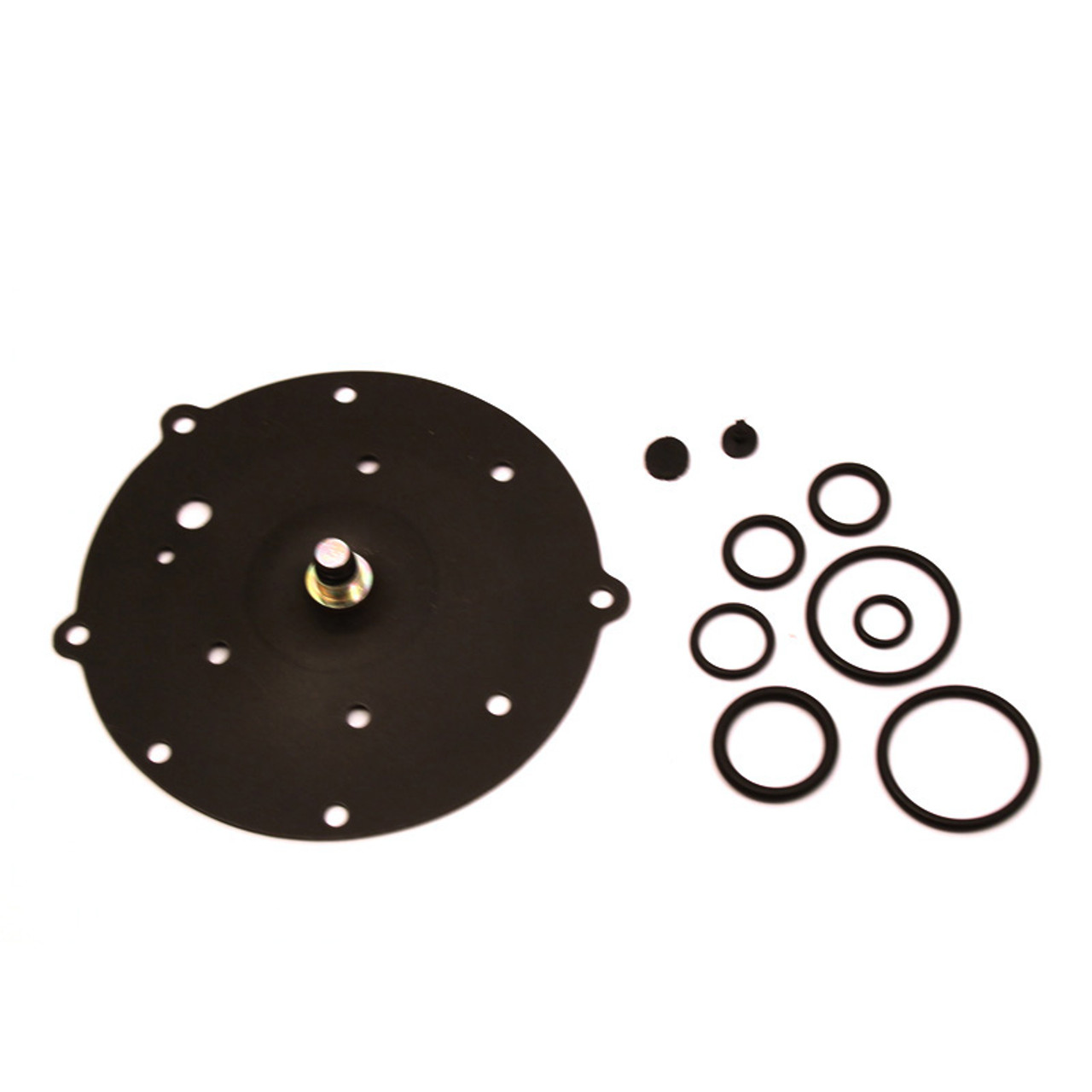 BRC Type SGI regulator repair Kit