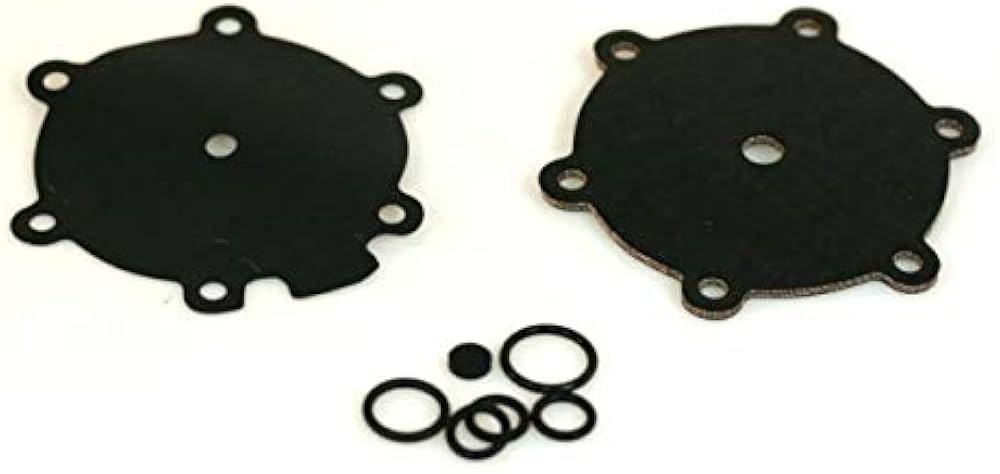 C. Type SGI regulator repair Kit