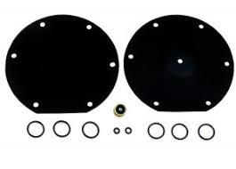 Prins Type SGI regulator Repair Kit