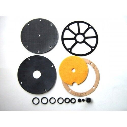Type SGI regulator repair Kit