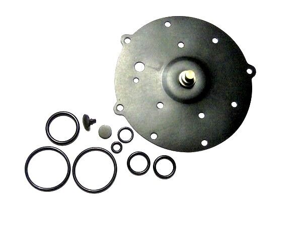 Type SGI regulator Repair Kit